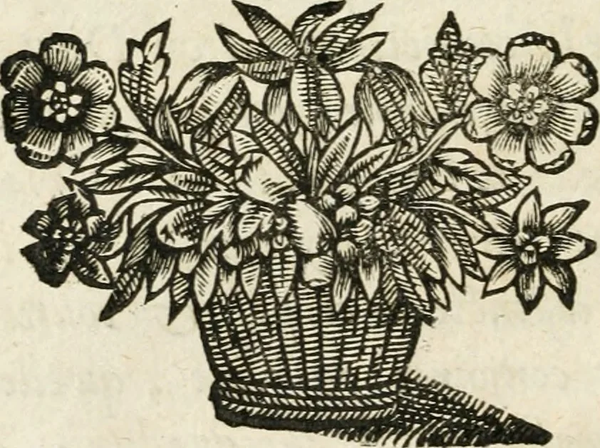 An illustration from Les meditations metaphysiqves de René Des-cartes, tovchant la premiere philosophie dans lesquelles l'existence de Dieu, & la distinction réelle entre l'ame & le corps de l'homme, sont demonstrées, 1647, leaf 25