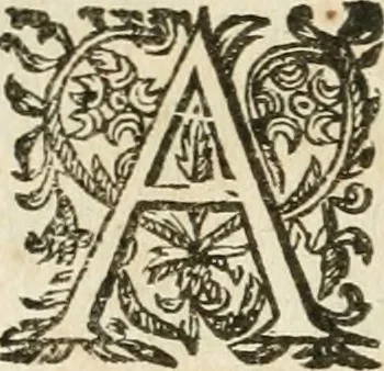 An illustration from Les meditations metaphysiqves de René Des-cartes, tovchant la premiere philosophie dans lesquelles l'existence de Dieu, & la distinction réelle entre l'ame & le corps de l'homme, sont demonstrées, 1647, leaf 359