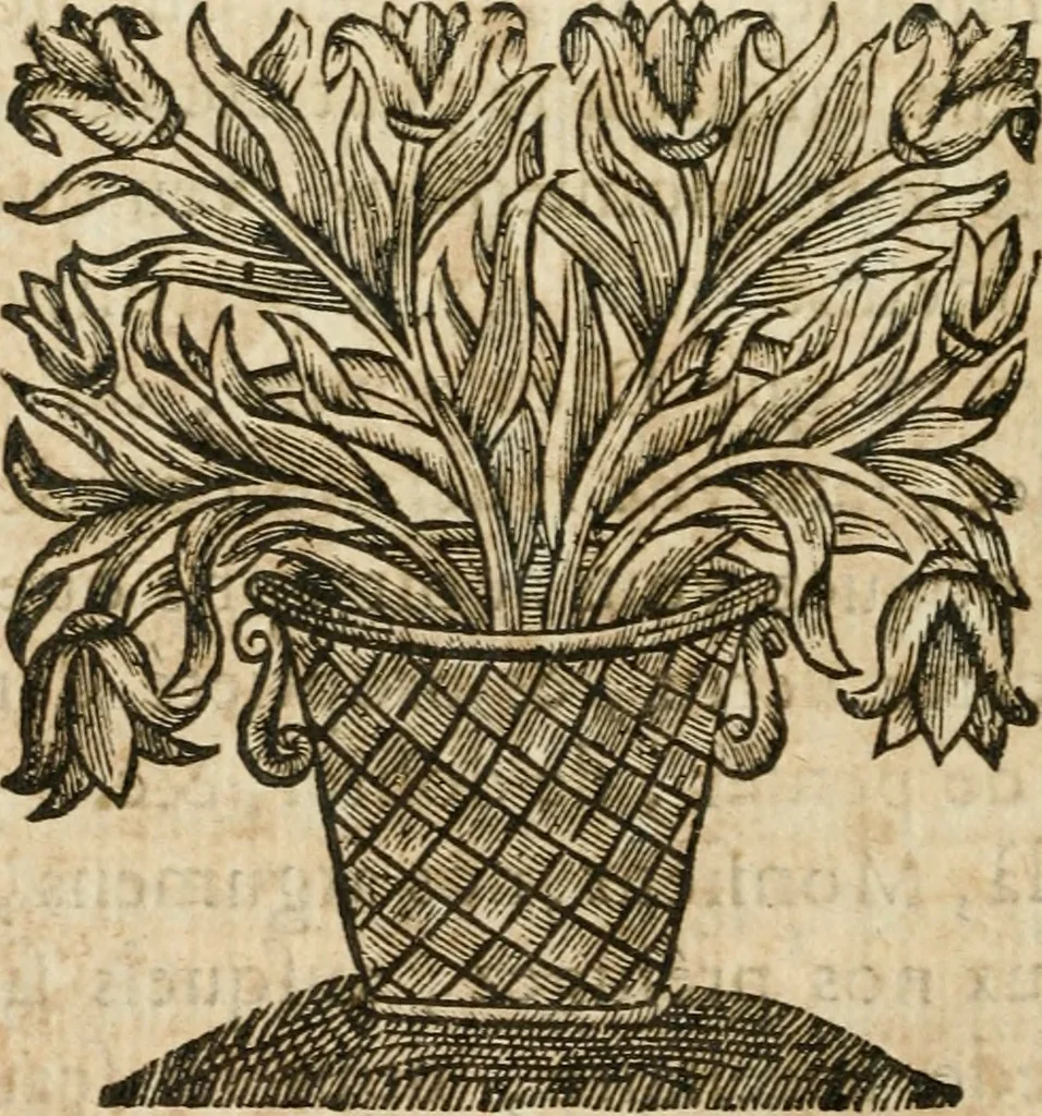 An illustration from Les meditations metaphysiqves de René Des-cartes, tovchant la premiere philosophie dans lesquelles l'existence de Dieu, & la distinction réelle entre l'ame & le corps de l'homme, sont demonstrées, 1647, leaf 375