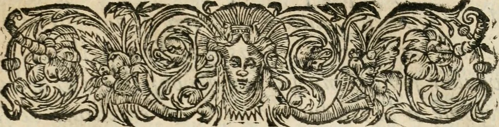 An illustration from Les meditations metaphysiqves de René Des-cartes, tovchant la premiere philosophie dans lesquelles l'existence de Dieu, & la distinction réelle entre l'ame & le corps de l'homme, sont demonstrées, 1647, leaf 412