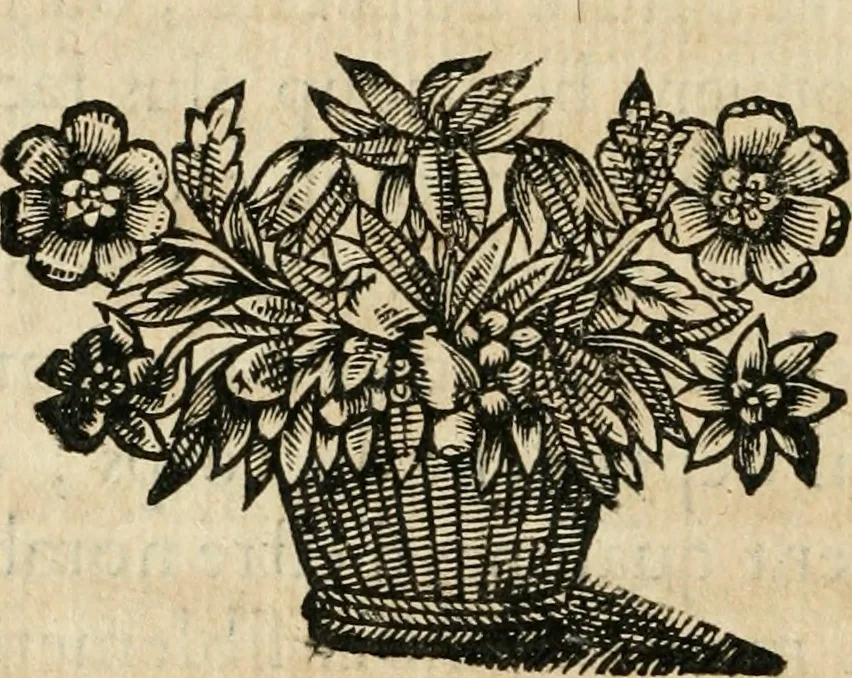 An illustration from Les meditations metaphysiqves de René Des-cartes, tovchant la premiere philosophie dans lesquelles l'existence de Dieu, & la distinction réelle entre l'ame & le corps de l'homme, sont demonstrées, 1647, leaf 51