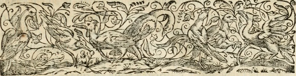 An illustration from Les meditations metaphysiqves de René Des-cartes, tovchant la premiere philosophie dans lesquelles l'existence de Dieu, & la distinction réelle entre l'ame & le corps de l'homme, sont demonstrées, 1647, leaf 52
