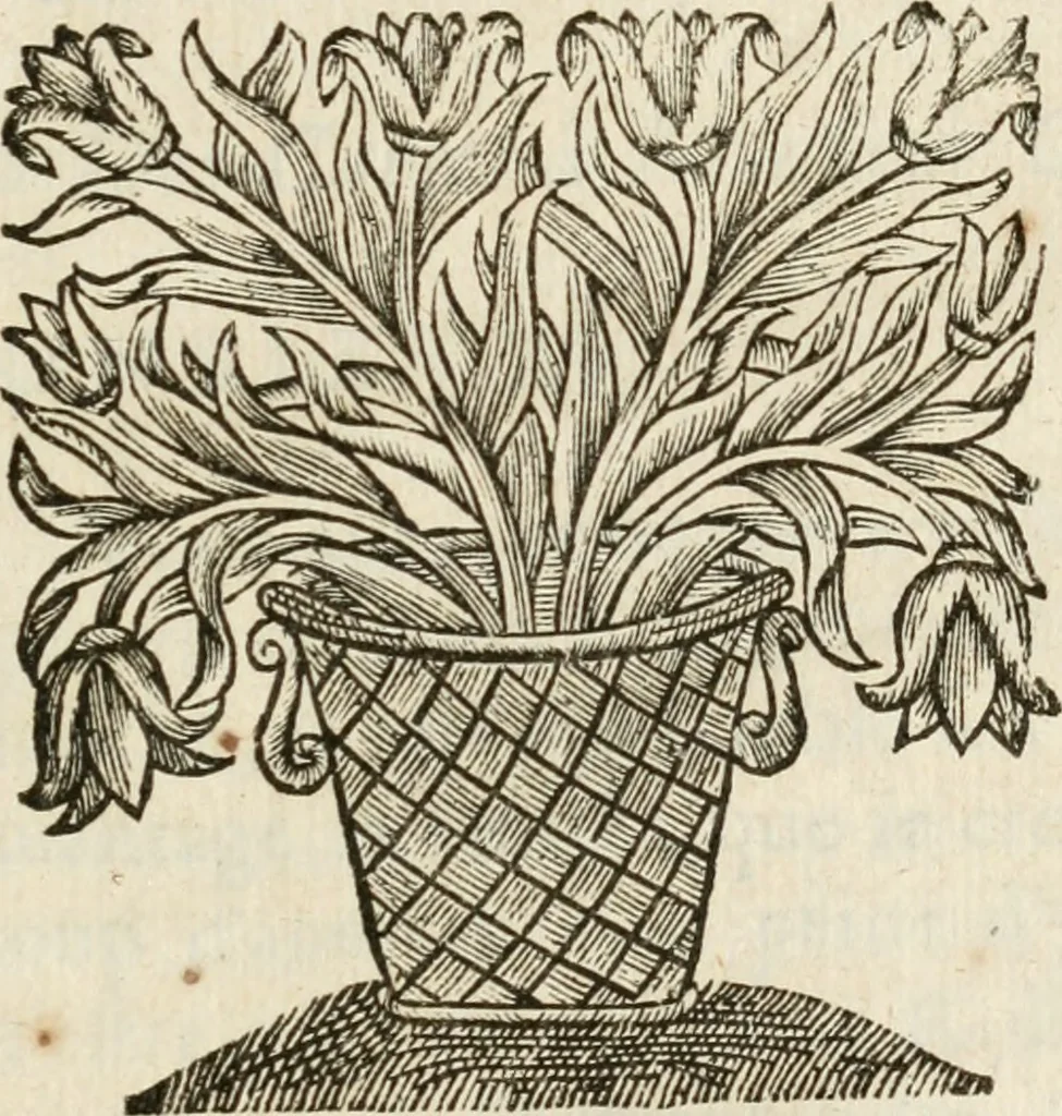 An illustration from Les meditations metaphysiqves de René Des-cartes, tovchant la premiere philosophie dans lesquelles l'existence de Dieu, & la distinction réelle entre l'ame & le corps de l'homme, sont demonstrées, 1647, leaf 554