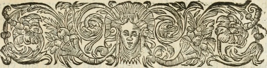 An illustration from Les meditations metaphysiqves de René Des-cartes, tovchant la premiere philosophie dans lesquelles l'existence de Dieu, & la distinction réelle entre l'ame & le corps de l'homme, sont demonstrées, 1647, leaf 556