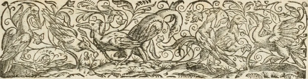 An illustration from Les meditations metaphysiqves de René Des-cartes, tovchant la premiere philosophie dans lesquelles l'existence de Dieu, & la distinction réelle entre l'ame & le corps de l'homme, sont demonstrées, 1647, leaf 6
