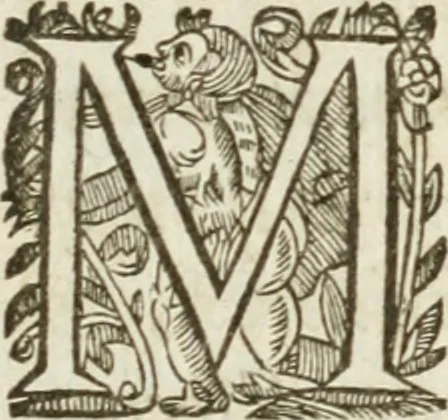 An illustration from Les meditations metaphysiqves de René Des-cartes, tovchant la premiere philosophie dans lesquelles l'existence de Dieu, & la distinction réelle entre l'ame & le corps de l'homme, sont demonstrées, 1647, leaf 6