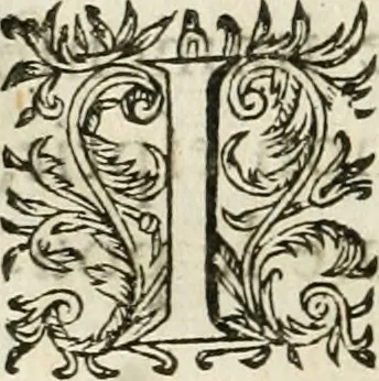 An illustration from Les meditations metaphysiqves de René Des-cartes, tovchant la premiere philosophie dans lesquelles l'existence de Dieu, & la distinction réelle entre l'ame & le corps de l'homme, sont demonstrées, 1647, leaf 79