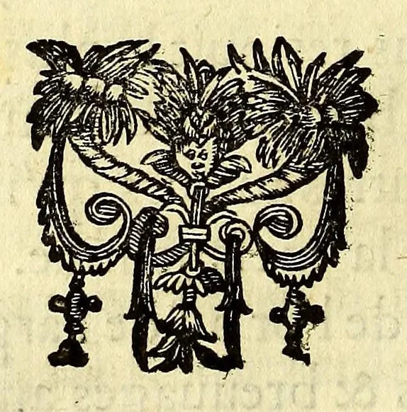 An illustration from Les Merueilles des Indes Orientales et Occidentales, ou Nouueau traitté des pierres precieuses & perles, contenant leur vraye nature, dureté, couleurs & vertus : chacune placée selon son ordre & degré, suiuant la cognoissance des marchands orpheures. : Auquel est adjousté vne petite table fort exacte, pour connoistre en vn instant à quel tiltre les marchands orpheures de Paris, & les autres dans toutes les principalles villes presque de toute l'Europe, trauaillent l'or & l'argent., 1661, leaf 36