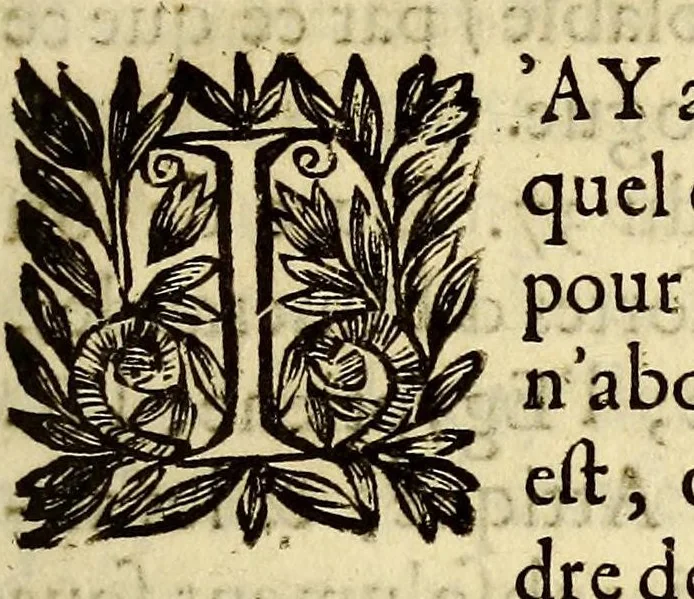 An illustration from Les Merueilles des Indes Orientales et Occidentales, ou Nouueau traitté des pierres precieuses & perles, contenant leur vraye nature, dureté, couleurs & vertus : chacune placée selon son ordre & degré, suiuant la cognoissance des marchands orpheures. : Auquel est adjousté vne petite table fort exacte, pour connoistre en vn instant à quel tiltre les marchands orpheures de Paris, & les autres dans toutes les principalles villes presque de toute l'Europe, trauaillent l'or & l'argent., 1661, leaf 49