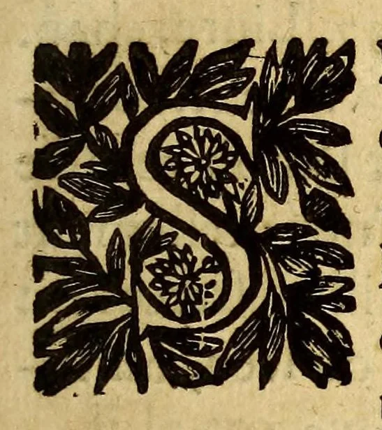 An illustration from Les Merueilles des Indes Orientales et Occidentales, ou Nouueau traitté des pierres precieuses & perles, contenant leur vraye nature, dureté, couleurs & vertus : chacune placée selon son ordre & degré, suiuant la cognoissance des marchands orpheures. : Auquel est adjousté vne petite table fort exacte, pour connoistre en vn instant à quel tiltre les marchands orpheures de Paris, & les autres dans toutes les principalles villes presque de toute l'Europe, trauaillent l'or & l'argent., 1661, leaf 63