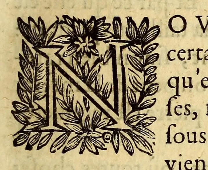 An illustration from Les Merueilles des Indes Orientales et Occidentales, ou Nouueau traitté des pierres precieuses & perles, contenant leur vraye nature, dureté, couleurs & vertus : chacune placée selon son ordre & degré, suiuant la cognoissance des marchands orpheures. : Auquel est adjousté vne petite table fort exacte, pour connoistre en vn instant à quel tiltre les marchands orpheures de Paris, & les autres dans toutes les principalles villes presque de toute l'Europe, trauaillent l'or & l'argent., 1661, leaf 69