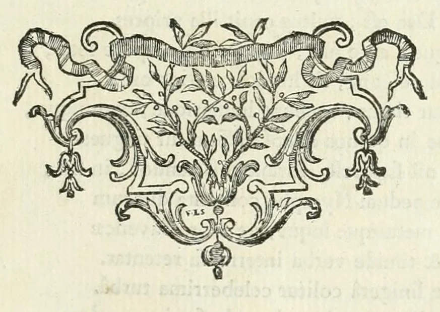 An illustration from Les metamorphoses d'Ovide : en Latin et en François, 1767, leaf 211