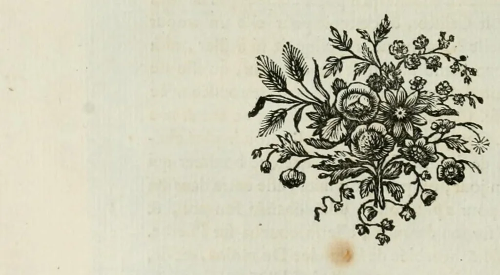 An illustration from Les metamorphoses d'Ovide : en Latin et en François, 1767, leaf 288