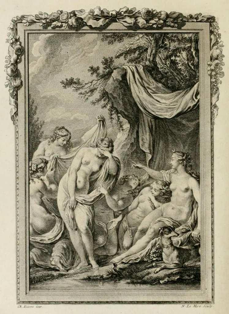 An illustration from Les metamorphoses d'Ovide : en Latin et en François, 1767, leaf 292