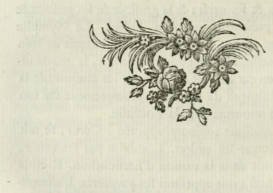 An illustration from Les metamorphoses d'Ovide : en Latin et en François, 1767, leaf 100