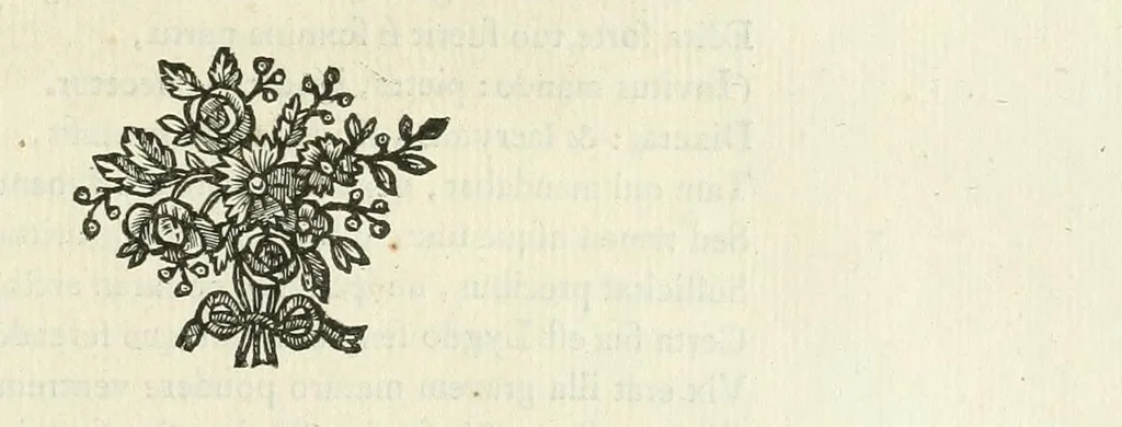 An illustration from Les metamorphoses d'Ovide : en Latin et en François, 1767, leaf 193