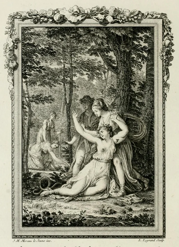 An illustration from Les metamorphoses d'Ovide : en Latin et en François, 1767, leaf 242