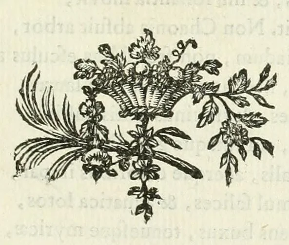 An illustration from Les metamorphoses d'Ovide : en Latin et en François, 1767, leaf 255