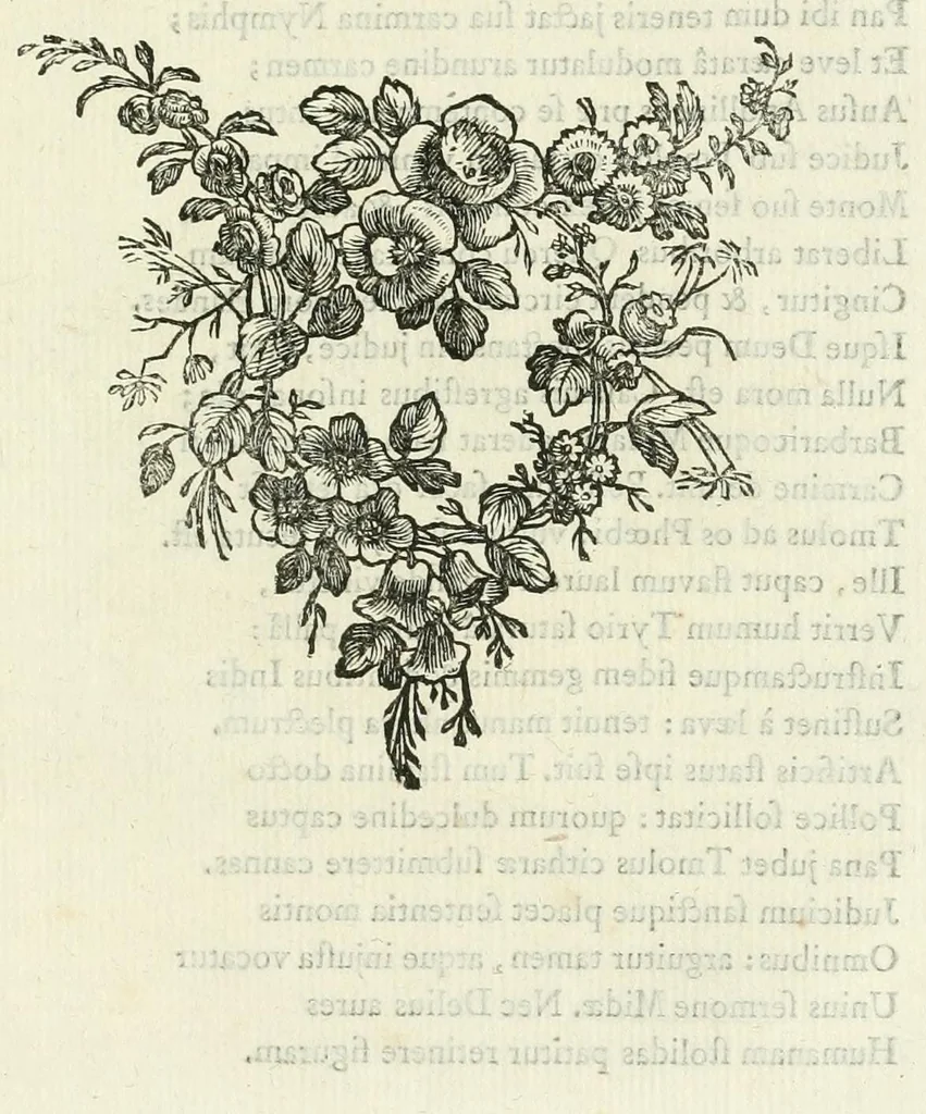 An illustration from Les metamorphoses d'Ovide : en Latin et en François, 1767, leaf 377