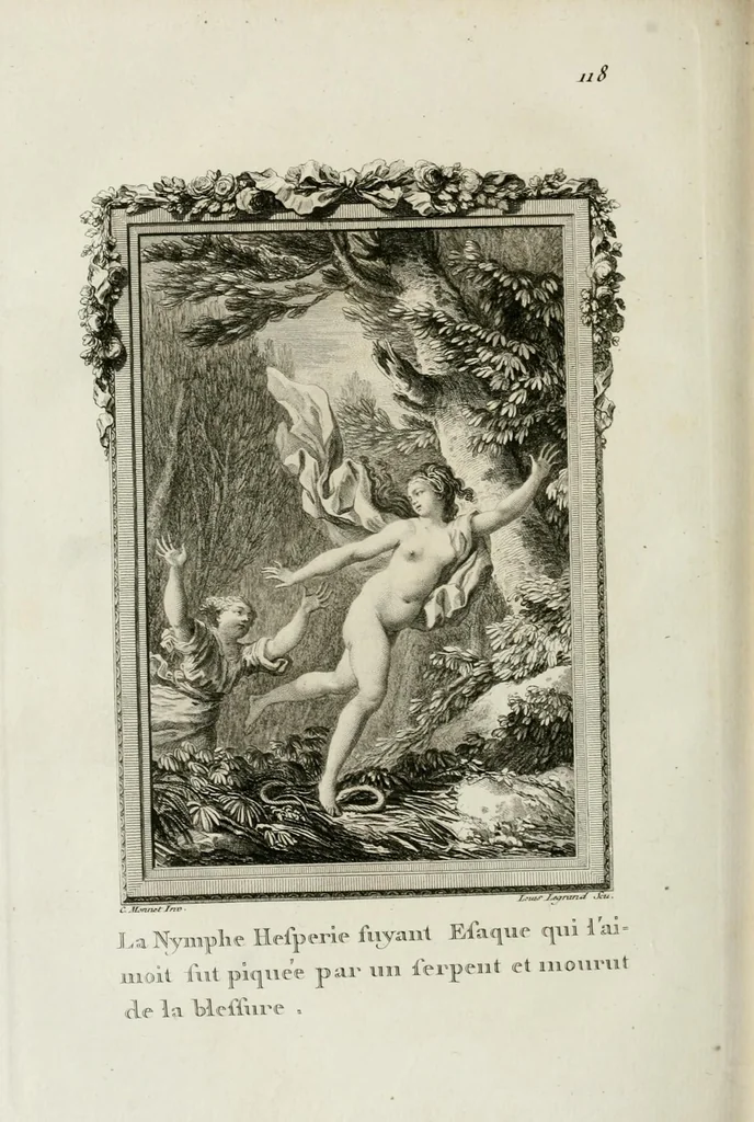 An illustration from Les metamorphoses d'Ovide : en Latin et en François, 1767, leaf 432
