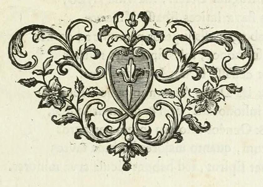 An illustration from Les metamorphoses d'Ovide : en Latin et en François, 1767, leaf 49
