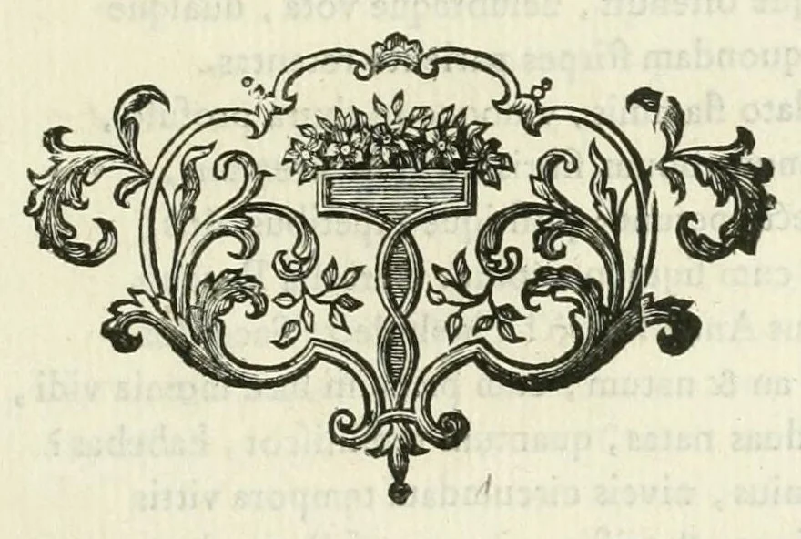 An illustration from Les metamorphoses d'Ovide : en Latin et en François, 1767, leaf 135