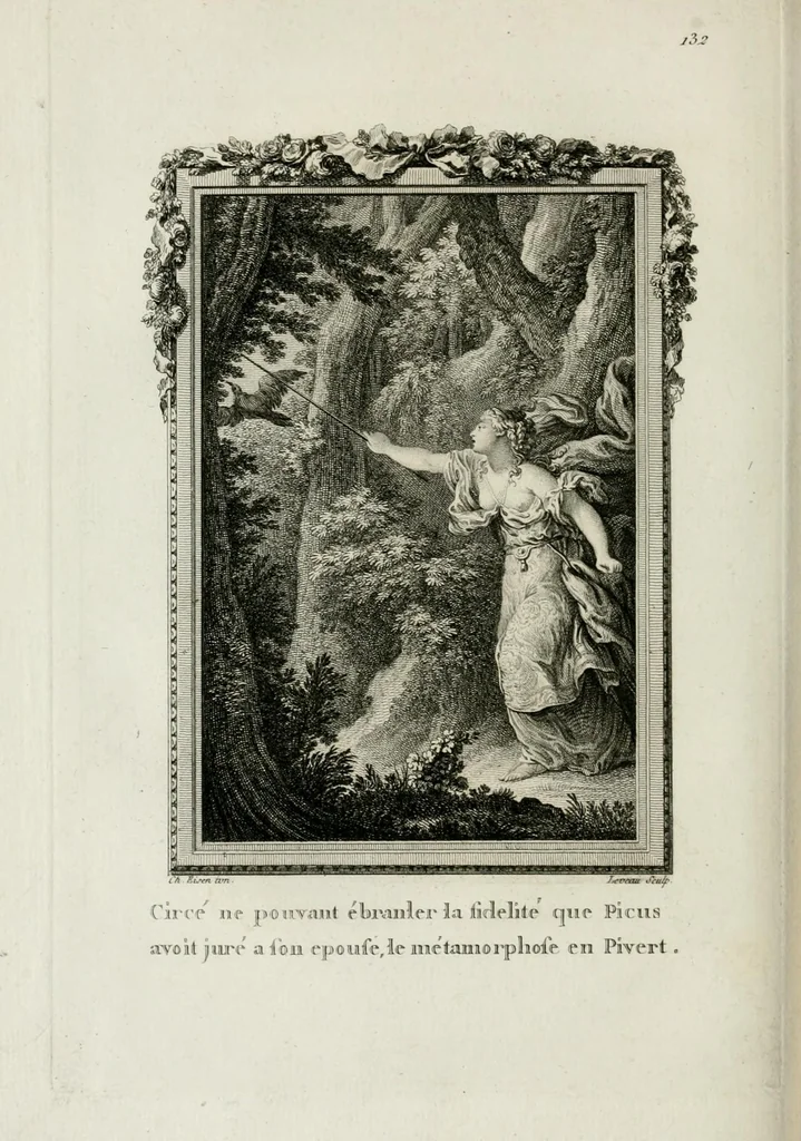 An illustration from Les metamorphoses d'Ovide : en Latin et en François, 1767, leaf 234