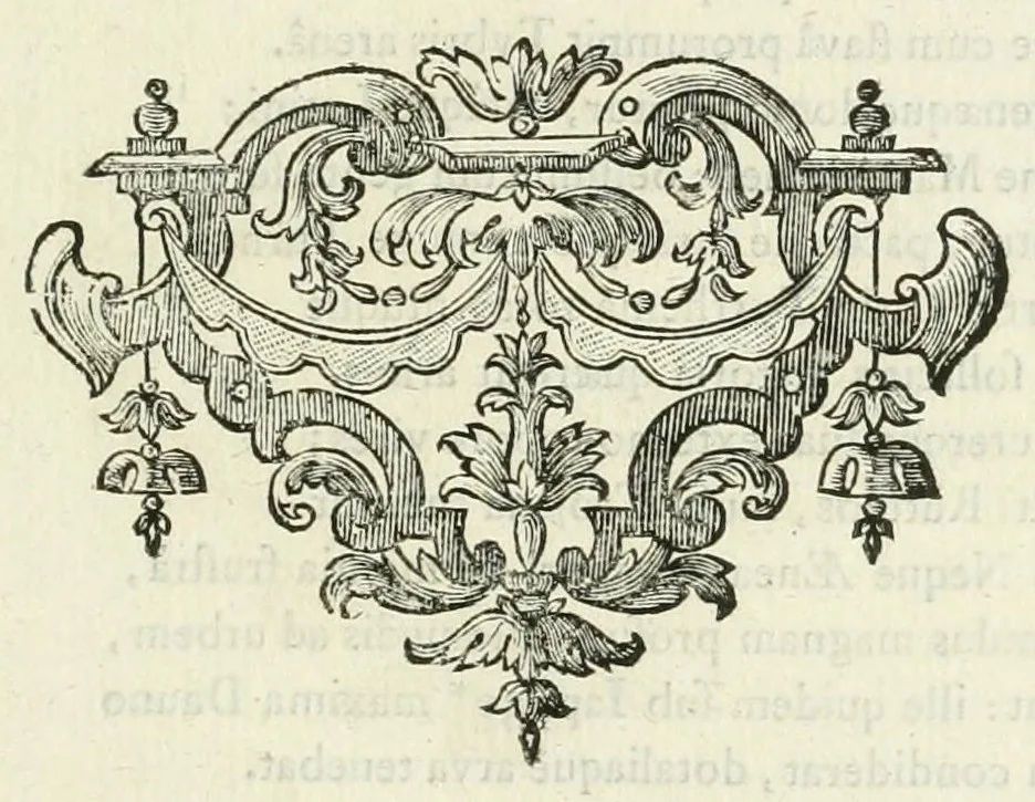 An illustration from Les metamorphoses d'Ovide : en Latin et en François, 1767, leaf 243