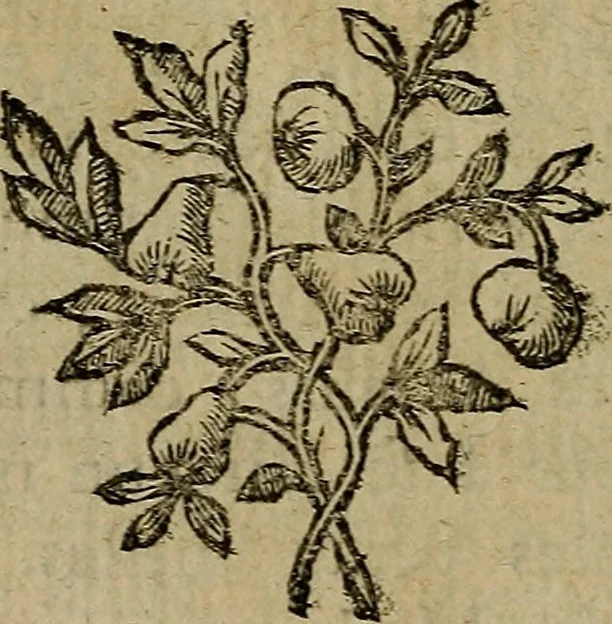 An illustration from Les misotechnites aux enfers, ou, Examen des observations sur les arts, 1763, leaf 69