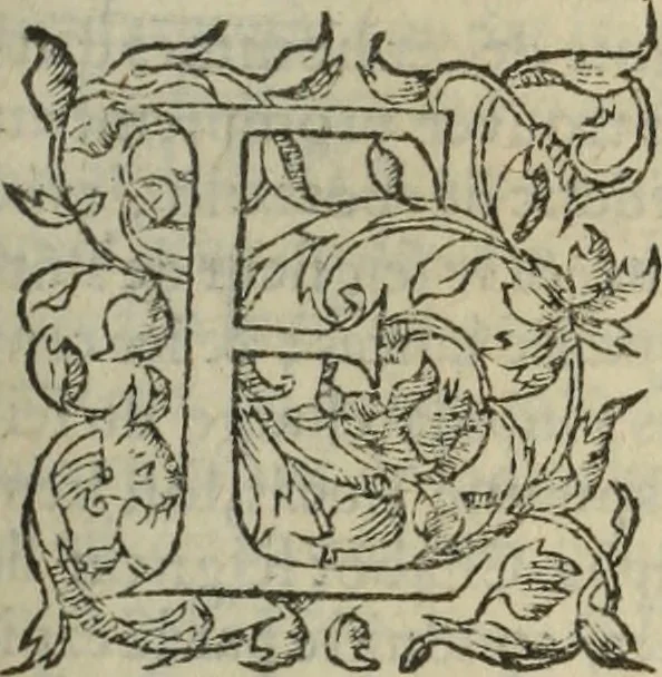 An illustration from Les Mémoires de Messire Martin Du Bellay, seigneur de Langey, ausquels l'autheur a inséré trois livres et quelques fragmens des Ogdoades de Guillaume Du Bellay, 1571, leaf 104