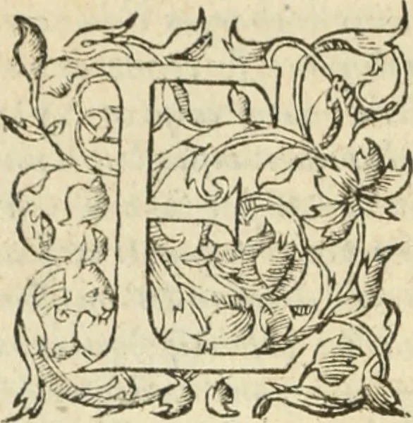 An illustration from Les Mémoires de Messire Martin Du Bellay, seigneur de Langey, ausquels l'autheur a inséré trois livres et quelques fragmens des Ogdoades de Guillaume Du Bellay, 1571, leaf 11