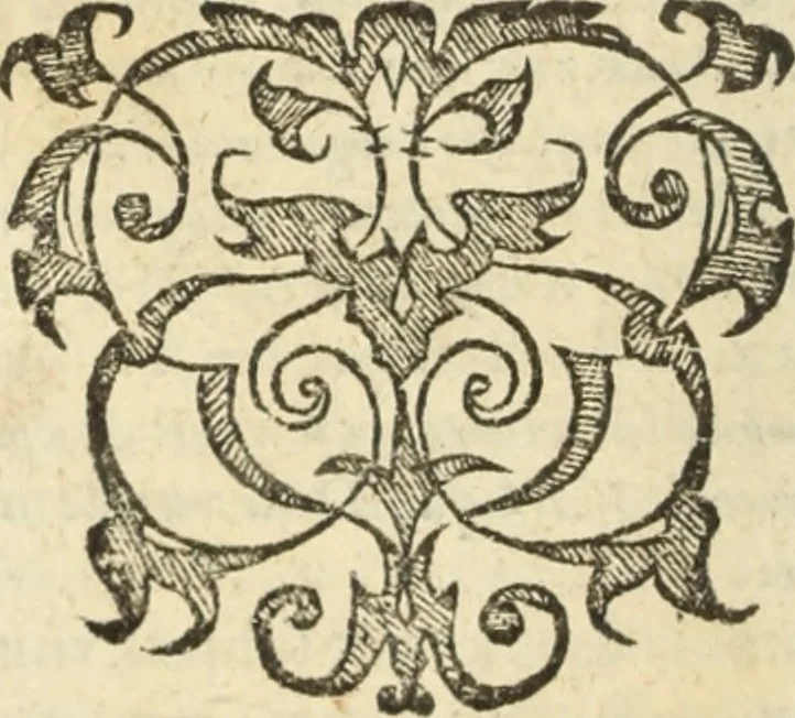 An illustration from Les Mémoires de Messire Martin Du Bellay, seigneur de Langey, ausquels l'autheur a inséré trois livres et quelques fragmens des Ogdoades de Guillaume Du Bellay, 1571, leaf 11