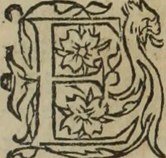 An illustration from Les Mémoires de Messire Martin Du Bellay, seigneur de Langey, ausquels l'autheur a inséré trois livres et quelques fragmens des Ogdoades de Guillaume Du Bellay, 1571, leaf 20