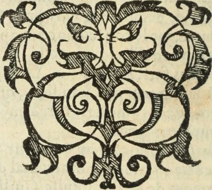 An illustration from Les Mémoires de Messire Martin Du Bellay, seigneur de Langey, ausquels l'autheur a inséré trois livres et quelques fragmens des Ogdoades de Guillaume Du Bellay, 1571, leaf 205