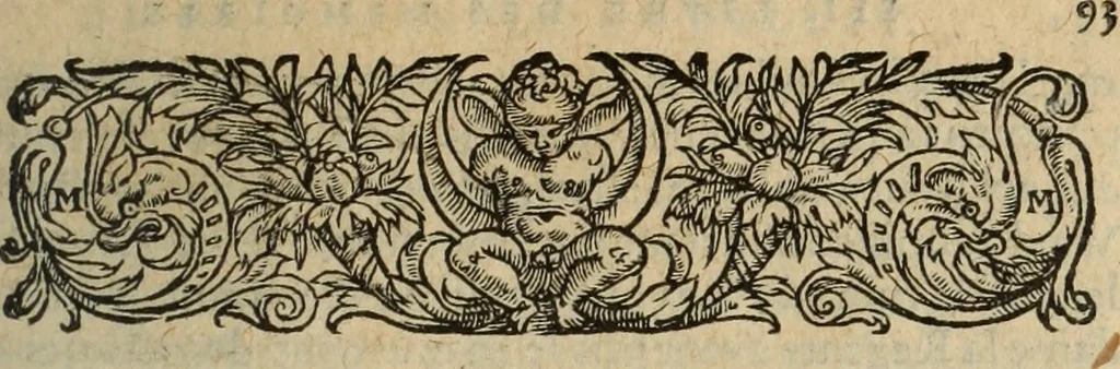An illustration from Les Mémoires de Messire Martin Du Bellay, seigneur de Langey, ausquels l'autheur a inséré trois livres et quelques fragmens des Ogdoades de Guillaume Du Bellay, 1571, leaf 206