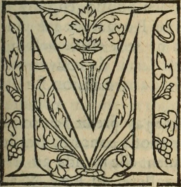 An illustration from Les Mémoires de Messire Martin Du Bellay, seigneur de Langey, ausquels l'autheur a inséré trois livres et quelques fragmens des Ogdoades de Guillaume Du Bellay, 1571, leaf 206