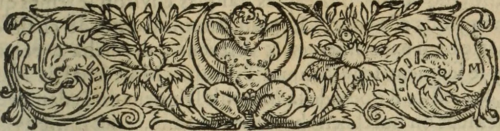 An illustration from Les Mémoires de Messire Martin Du Bellay, seigneur de Langey, ausquels l'autheur a inséré trois livres et quelques fragmens des Ogdoades de Guillaume Du Bellay, 1571, leaf 22