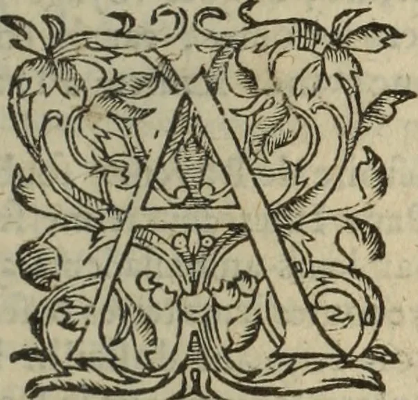 An illustration from Les Mémoires de Messire Martin Du Bellay, seigneur de Langey, ausquels l'autheur a inséré trois livres et quelques fragmens des Ogdoades de Guillaume Du Bellay, 1571, leaf 22