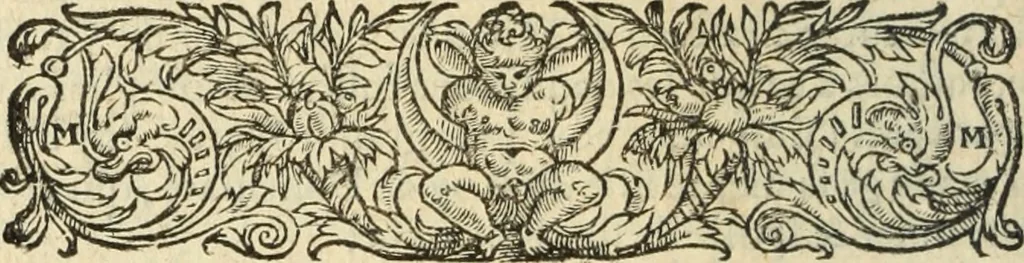 An illustration from Les Mémoires de Messire Martin Du Bellay, seigneur de Langey, ausquels l'autheur a inséré trois livres et quelques fragmens des Ogdoades de Guillaume Du Bellay, 1571, leaf 277
