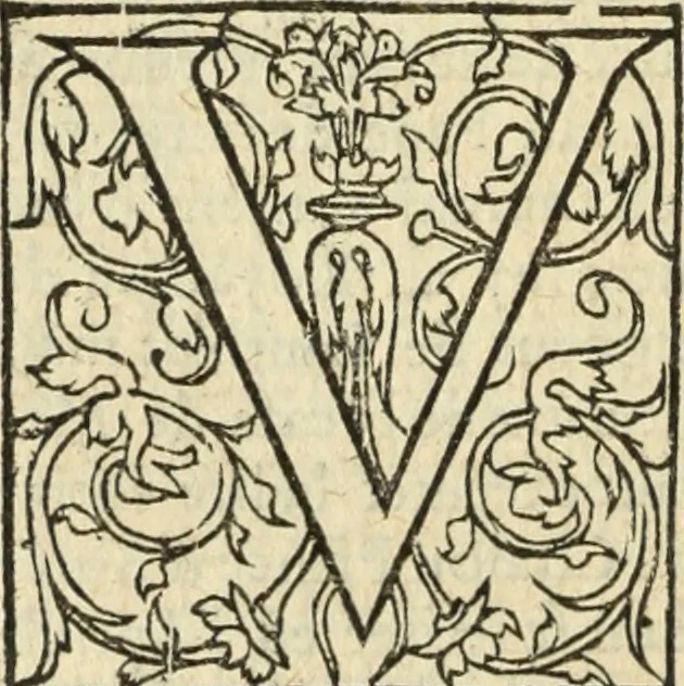 An illustration from Les Mémoires de Messire Martin Du Bellay, seigneur de Langey, ausquels l'autheur a inséré trois livres et quelques fragmens des Ogdoades de Guillaume Du Bellay, 1571, leaf 277