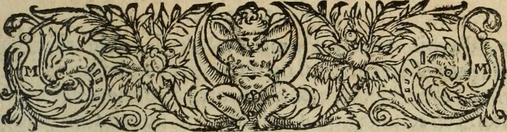 An illustration from Les Mémoires de Messire Martin Du Bellay, seigneur de Langey, ausquels l'autheur a inséré trois livres et quelques fragmens des Ogdoades de Guillaume Du Bellay, 1571, leaf 390