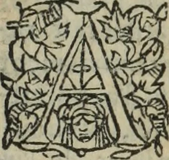 An illustration from Les Mémoires de Messire Martin Du Bellay, seigneur de Langey, ausquels l'autheur a inséré trois livres et quelques fragmens des Ogdoades de Guillaume Du Bellay, 1571, leaf 390