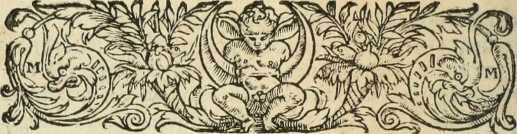 An illustration from Les Mémoires de Messire Martin Du Bellay, seigneur de Langey, ausquels l'autheur a inséré trois livres et quelques fragmens des Ogdoades de Guillaume Du Bellay, 1571, leaf 409