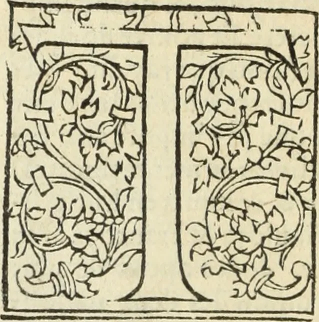 An illustration from Les Mémoires de Messire Martin Du Bellay, seigneur de Langey, ausquels l'autheur a inséré trois livres et quelques fragmens des Ogdoades de Guillaume Du Bellay, 1571, leaf 409