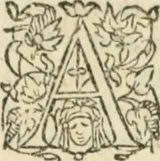An illustration from Les Mémoires de Messire Martin Du Bellay, seigneur de Langey, ausquels l'autheur a inséré trois livres et quelques fragmens des Ogdoades de Guillaume Du Bellay, 1571, leaf 41