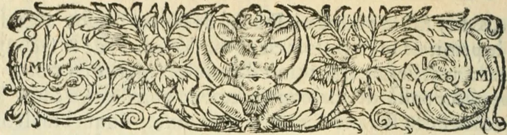 An illustration from Les Mémoires de Messire Martin Du Bellay, seigneur de Langey, ausquels l'autheur a inséré trois livres et quelques fragmens des Ogdoades de Guillaume Du Bellay, 1571, leaf 483