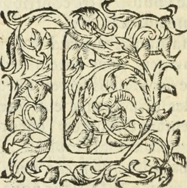 An illustration from Les Mémoires de Messire Martin Du Bellay, seigneur de Langey, ausquels l'autheur a inséré trois livres et quelques fragmens des Ogdoades de Guillaume Du Bellay, 1571, leaf 483