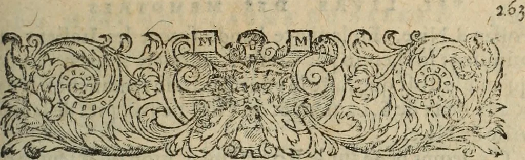 An illustration from Les Mémoires de Messire Martin Du Bellay, seigneur de Langey, ausquels l'autheur a inséré trois livres et quelques fragmens des Ogdoades de Guillaume Du Bellay, 1571, leaf 572
