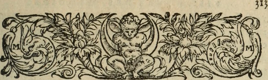 An illustration from Les Mémoires de Messire Martin Du Bellay, seigneur de Langey, ausquels l'autheur a inséré trois livres et quelques fragmens des Ogdoades de Guillaume Du Bellay, 1571, leaf 672