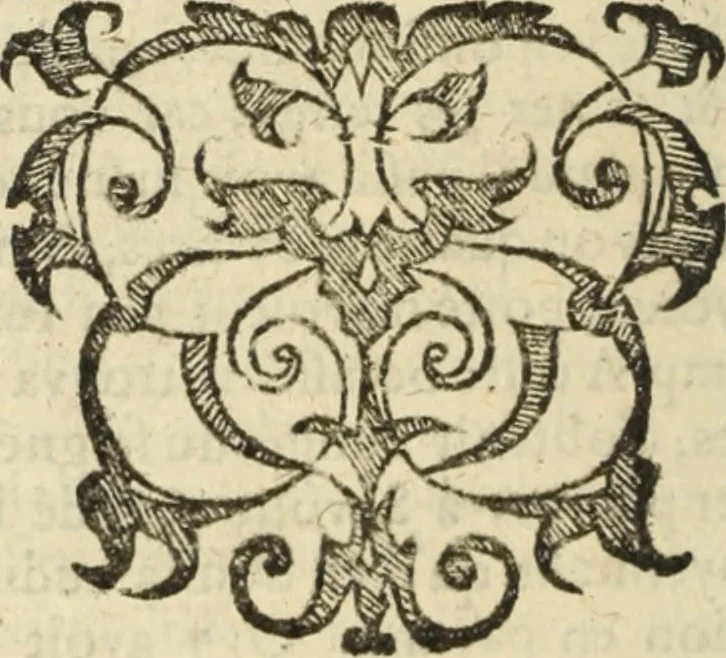 An illustration from Les Mémoires de Messire Martin Du Bellay, seigneur de Langey, ausquels l'autheur a inséré trois livres et quelques fragmens des Ogdoades de Guillaume Du Bellay, 1571, leaf 779